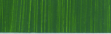 Roberson Oil Charles Oil Colour 225ml Sap Green S1
