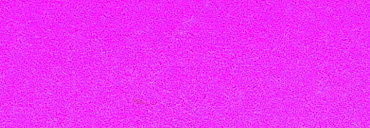 Schmincke Aqua Drop 30ml Liquid Watercolour Purple