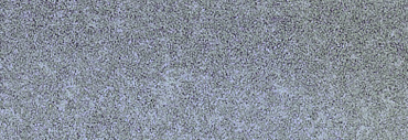 Schmincke Aqua Drop 30ml Liquid Watercolour Neutral Grey