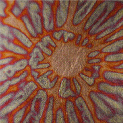 Roberson Metal Leaf Variegated No 236 S1 Loose Book of 25 Sheets