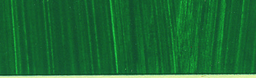 [CR37074G] Roberson Oil Charles Oil Colour 225ml Phthalo Green S1