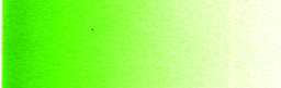 [SC28502D] Schmincke Aerocolor 28ml Permanent Green