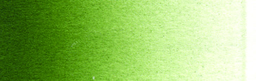 [SC28504D] Schmincke Aerocolor 28ml Chromium Oxide Green Brilliant